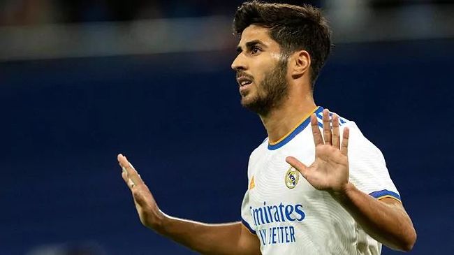 爱啪啪网