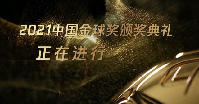 亚洲精品成人少妇