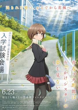 少妇在线视频