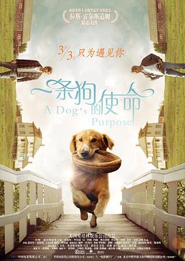 av在线资源网