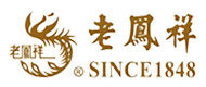 99久久久国产精品免费播放器